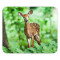 Tapis de souris Bambi 200x240 mm - miniature variant 1