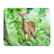 Tapis de souris Bambi 22x18 cm - miniature