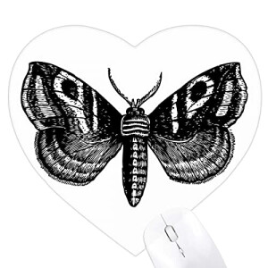 Tapis de souris Papillon multicouleur 22x20 cm