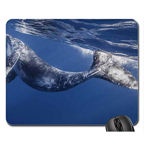 Tapis de souris Baleine