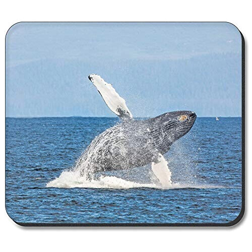 Tapis de souris Baleine