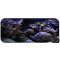 Tapis de souris Baleine yt XXL 750x300 mm - miniature