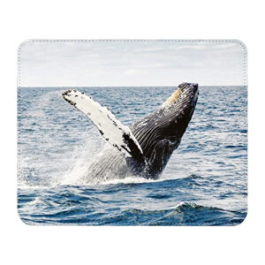 Tapis de souris Baleine 22x18 cm