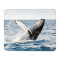 Tapis de souris Baleine 22x18 cm - miniature
