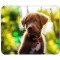 Tapis de souris Chien chiot 24x20 cm - miniature