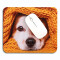 Tapis de souris Chien mf- 24x20 cm - miniature variant 4