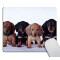 Tapis de souris Teckel - Chien - multicolore . 240x200 mm - miniature