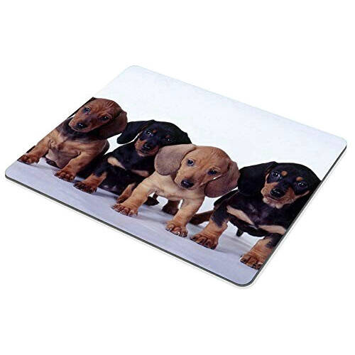 Tapis de souris Teckel - Chien - multicolore . 240x200 mm variant 1 