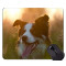 Tapis de souris Border Collie, Carlin - Chien - yt. 22x18 cm - miniature