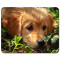 Tapis de souris Chien 24x19 cm - miniature