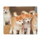 Tapis de souris Shiba Inu - Chien -  mignon 17.8x23.9 cm - miniature