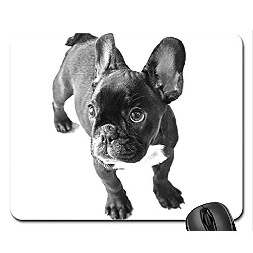Tapis de souris Bouledogue - Chien