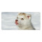 Tapis de souris Husky - Chien -  piquant dog 40 x 90 90x40 cm - miniature
