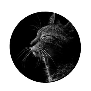 Tapis de souris Chat noir 20x20 cm