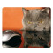 Tapis de souris Chat 23x19 cm - miniature