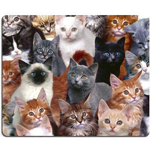 Tapis de souris Chat cats galore 240x200 mm