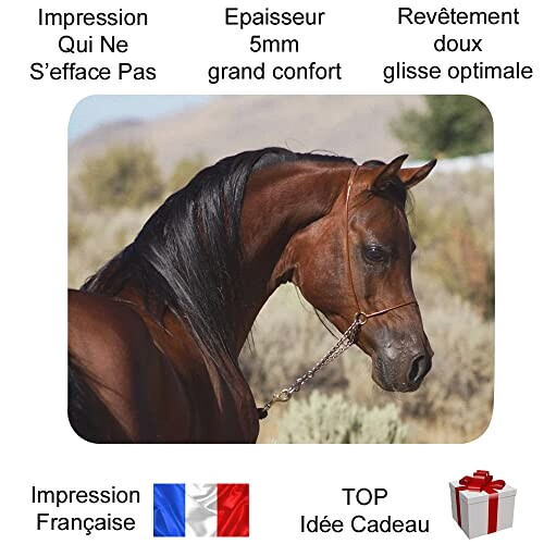 Tapis de souris Cheval 235x195 mm variant 0 