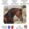 Tapis de souris Cheval 235x195 mm - miniature variant 1