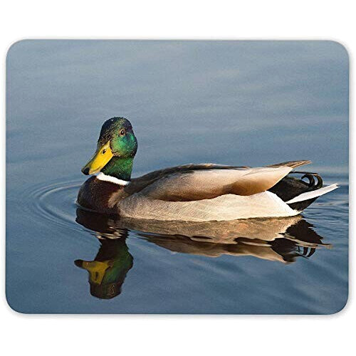 Tapis de souris Canard mousepad- 25x20 cm