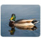Tapis de souris Canard mousepad- 25x20 cm - miniature