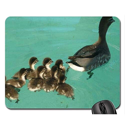 Tapis de souris Canard