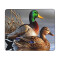 Tapis de souris Canard colvert 17.8x21.8 cm - miniature