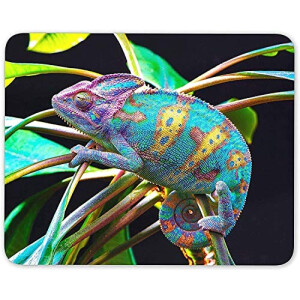 Tapis de souris Caméléon