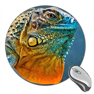 Tapis de souris Caméléon 200x200 mm