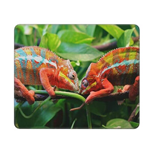 Tapis de souris Caméléon adorable . 25.4x30.5 cm