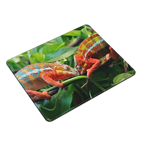 Tapis de souris Caméléon adorable . 25.4x30.5 cm variant 7 