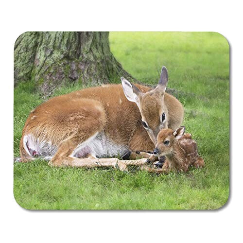 Tapis de souris Cerf