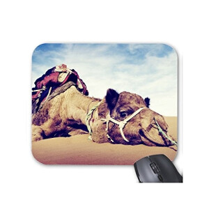 Tapis de souris Chameau