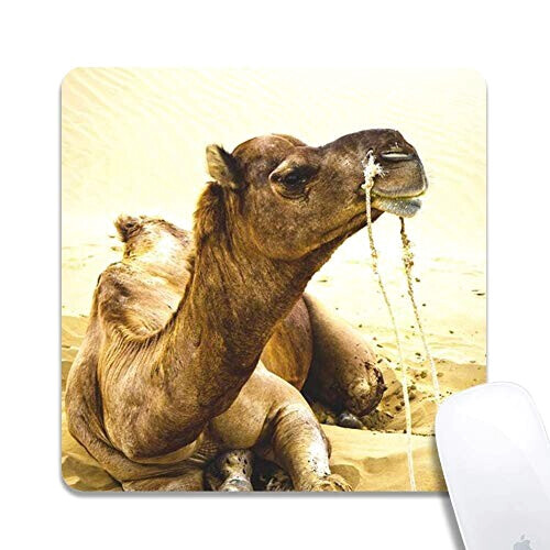 Tapis de souris Chameau
