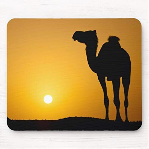Tapis de souris Chameau
