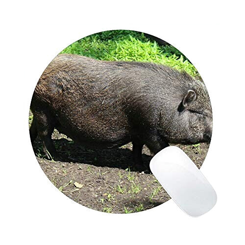Tapis de souris Cochon multicouleurouge 23x23 cm