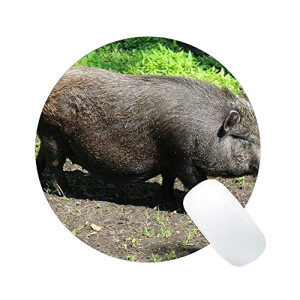 Tapis de souris Cochon multicouleurouge 23x23 cm