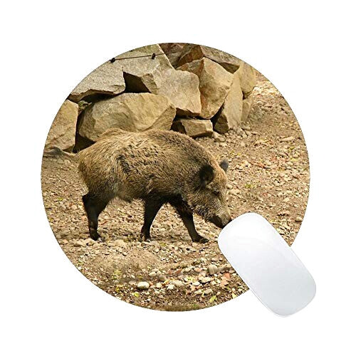 Tapis de souris Cochon multicolore 23x23 cm