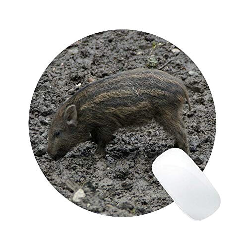 Tapis de souris Cochon multicolore 23x23 cm