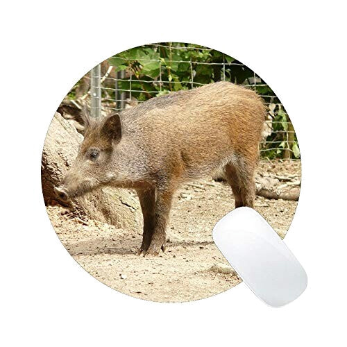Tapis de souris Cochon multicolore 23x23 cm