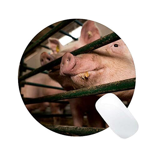 Tapis de souris Cochon multicolore 23x23 cm