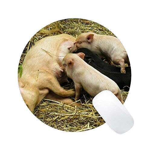 Tapis de souris Cochon multicolore 23x23 cm