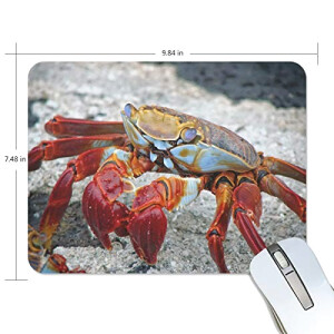 Tapis de souris Crabe multicolore 190x250 mm
