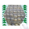 Tapis de souris Crocodile multicouleur 18x22 cm - miniature