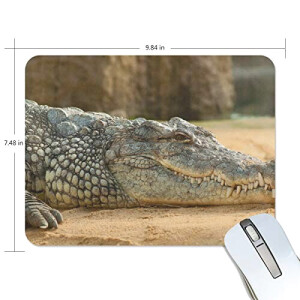 Tapis de souris Crocodile multicolore 190x250 mm