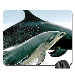 Tapis de souris Dauphin