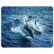 Tapis de souris Dauphin noir 24x19 cm - miniature