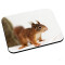 Tapis de souris Écureuil 200x240 mm - miniature