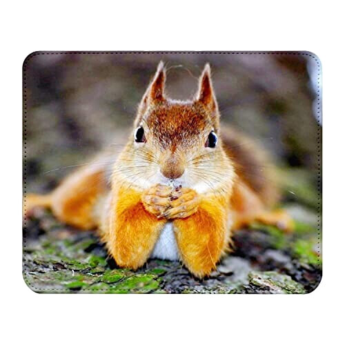 Tapis de souris Écureuil 22x18 cm