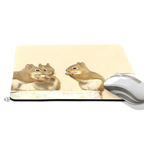 Tapis de souris Écureuil multicolore 190x250 mm