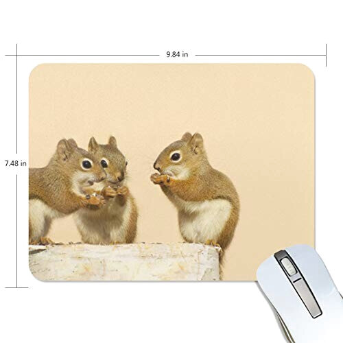 Tapis de souris Écureuil multicolore 190x250 mm variant 0 